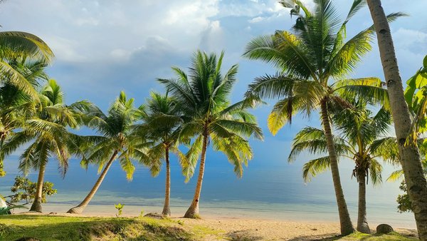 Pourquoi visiter le parc zoo de Lille ?