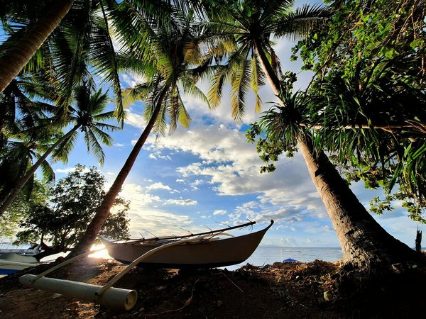 Quels sont les meilleurs parcs d'attraction en Normandie ?