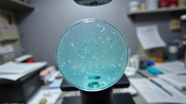 Les plus fortes contaminations en nitrates dans l'eau potable